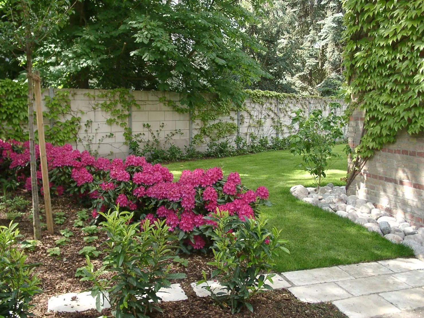 Giardino sicuro per bambini e animali: quali specie evitare secondo la Società Botanica Italiana Giardino sicuro per bambini e animali: quali specie evitare secondo la Società Botanica Italiana
