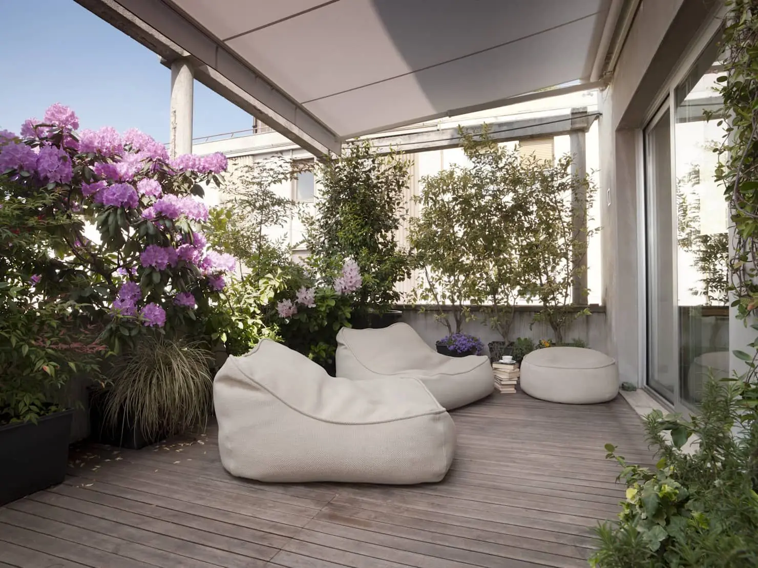 Come creare una barriera naturale anti-vento in terrazzo: i consigli degli agronomi per giugno Come creare una barriera naturale anti-vento in terrazzo: i consigli degli agronomi per giugno