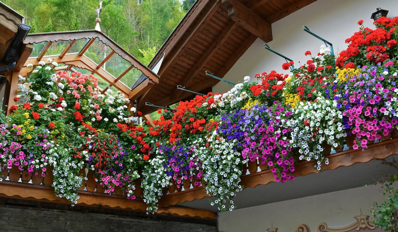 Come riconoscere i parassiti più comuni sulle piante da terrazzo e come eliminarli Come riconoscere i parassiti più comuni sulle piante da terrazzo e come eliminarli