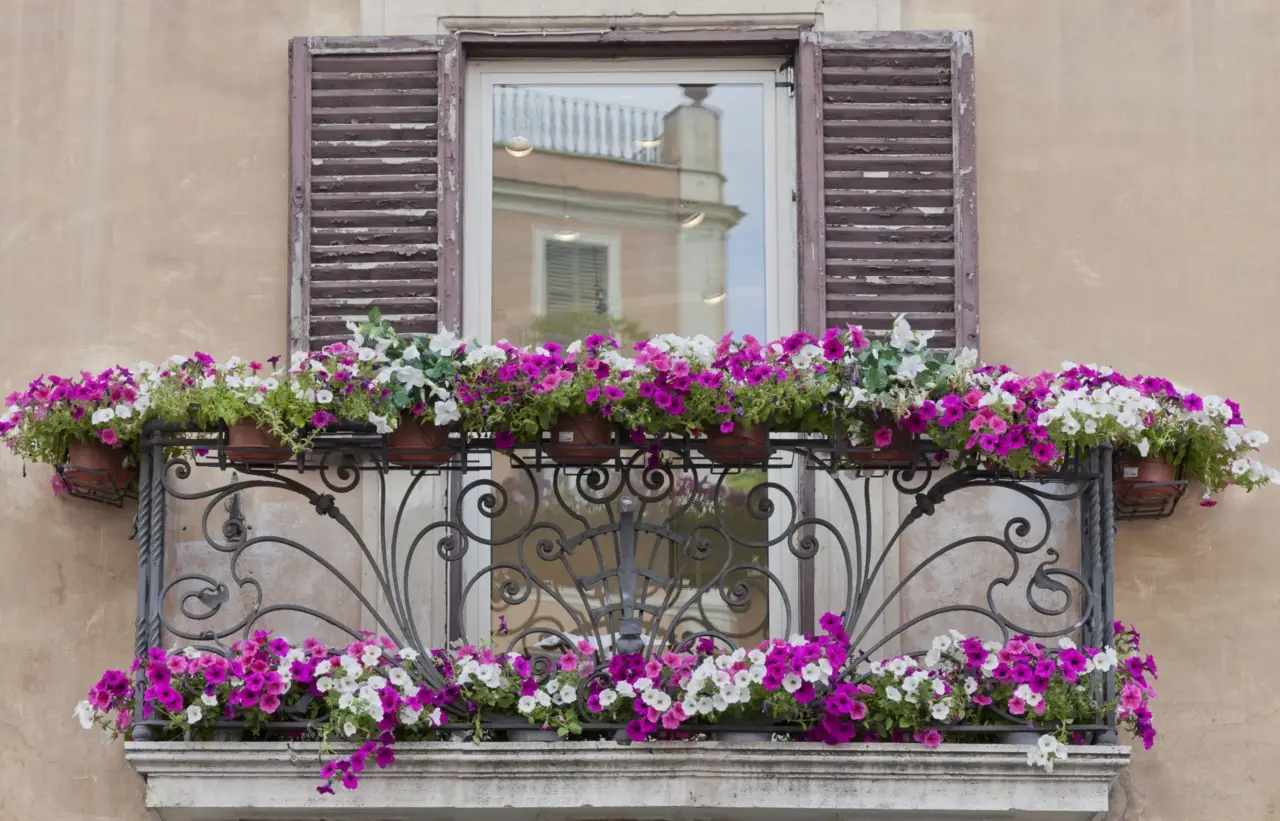 Come riconoscere i parassiti più comuni sulle piante da terrazzo e come eliminarli Come riconoscere i parassiti più comuni sulle piante da terrazzo e come eliminarli
