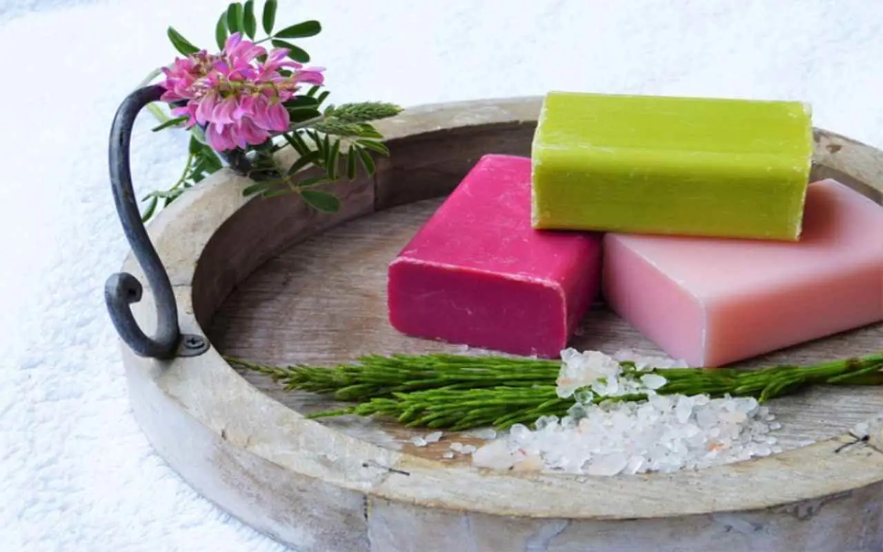 Come usare il sapone di Marsiglia sulle piante: il metodo che funziona davvero Come usare il sapone di Marsiglia sulle piante: il metodo che funziona davvero