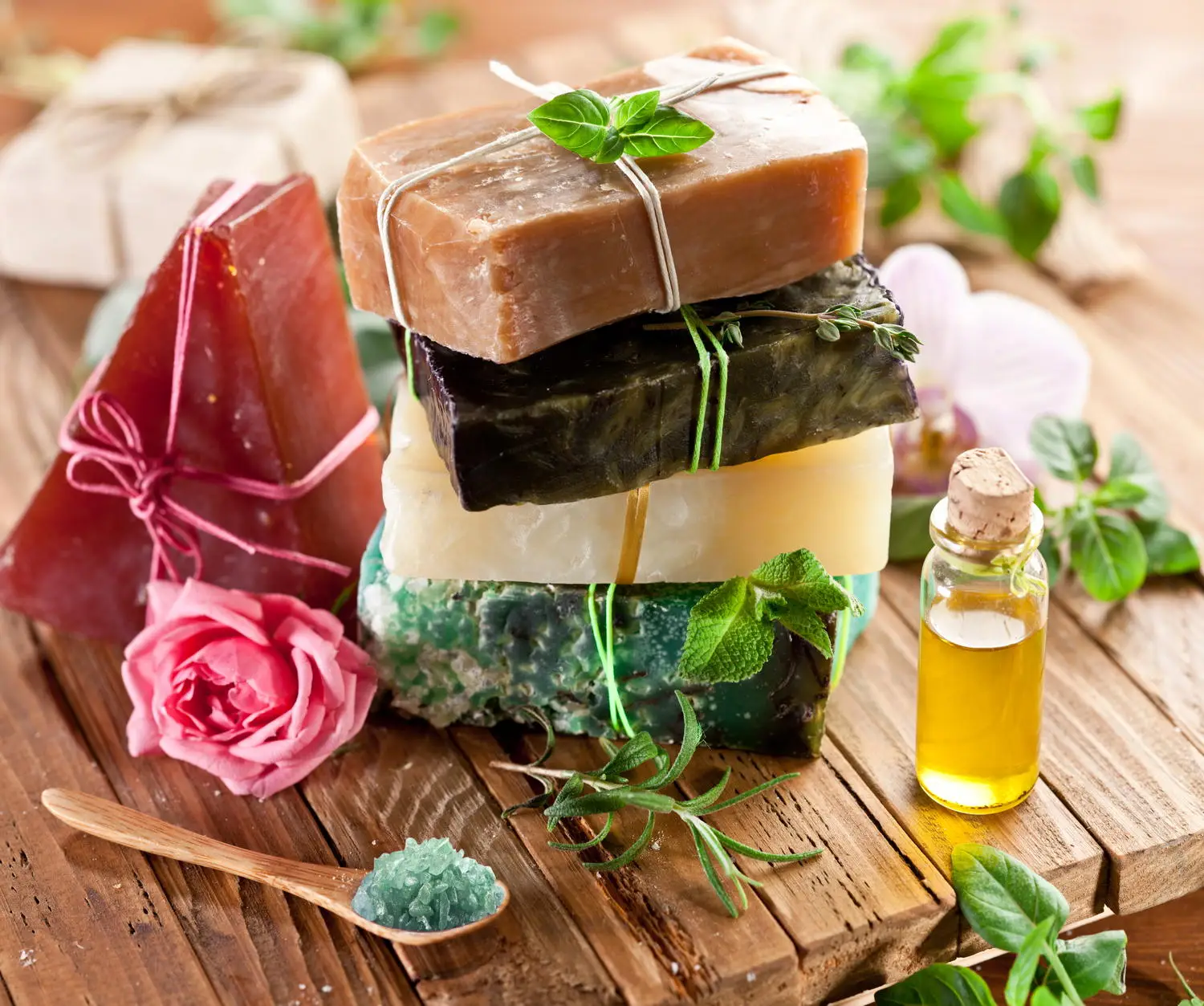 Come usare il sapone di Marsiglia sulle piante: il metodo che funziona davvero Come usare il sapone di Marsiglia sulle piante: il metodo che funziona davvero