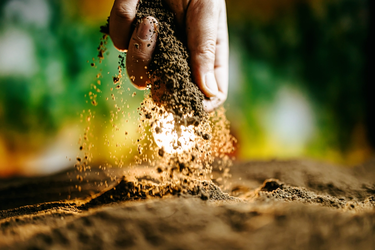 Cosa mettere nel terriccio per rinforzare le difese delle piante contro i parassiti Cosa mettere nel terriccio per rinforzare le difese delle piante contro i parassiti