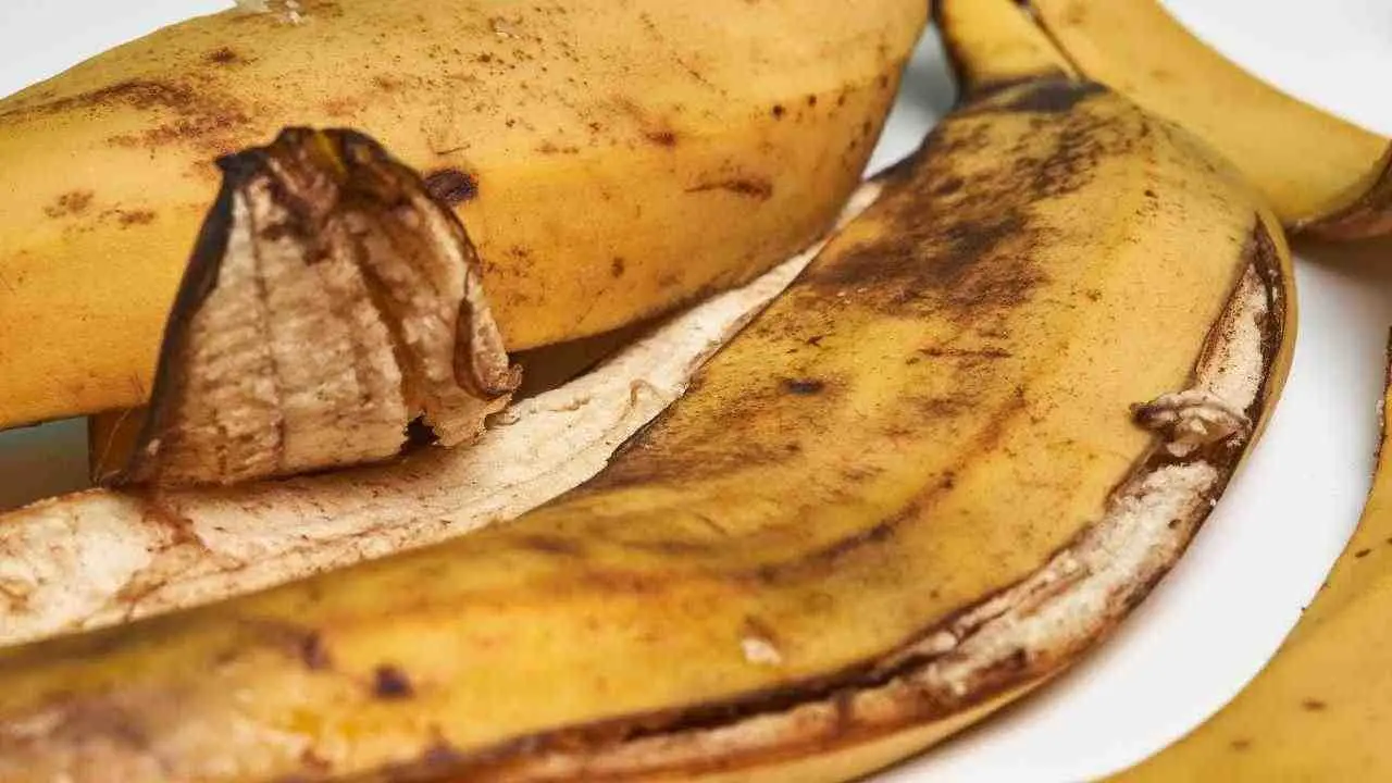 Il metodo delle bucce di banana per fertilizzare e proteggere le piante Il metodo delle bucce di banana per fertilizzare e proteggere le piante