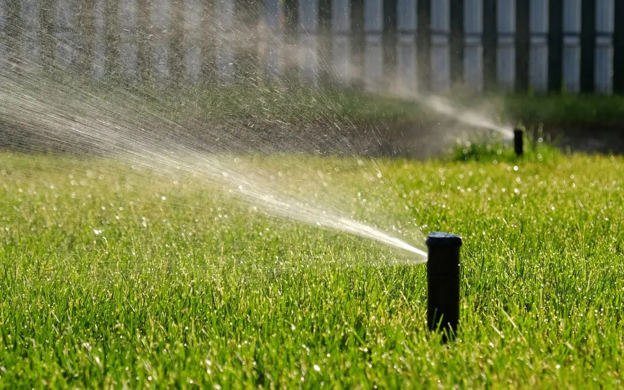 Come prevenire la comparsa di insetti sulle foglie dopo l’irrigazione Come prevenire la comparsa di insetti sulle foglie dopo l’irrigazione