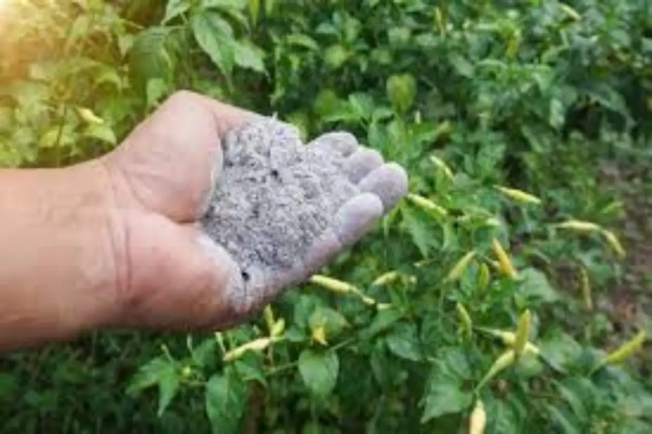 Come fare un concime naturale che rafforza le piante e le rende meno attaccabili Come fare un concime naturale che rafforza le piante e le rende meno attaccabili