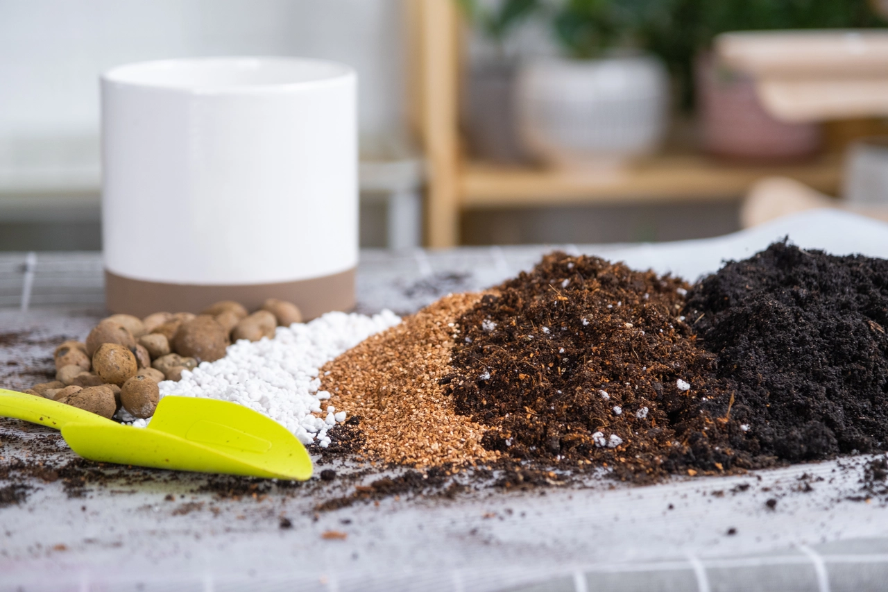 Come ridurre l’evaporazione dai vasi in balcone: la tecnica della pacciamatura consigliata dall’Accademia Italiana di Agricoltura Come ridurre l’evaporazione dai vasi in balcone: la tecnica della pacciamatura consigliata dall’Accademia Italiana di Agricoltura