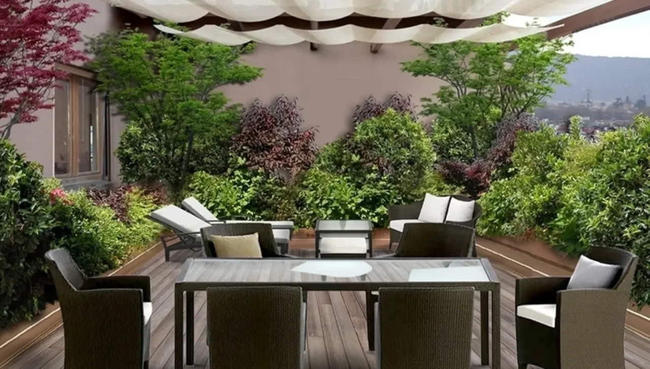 Come scegliere piante da ombra per terrazzi esposti al sole: la guida pratica dei botanici Come scegliere piante da ombra per terrazzi esposti al sole: la guida pratica dei botanici