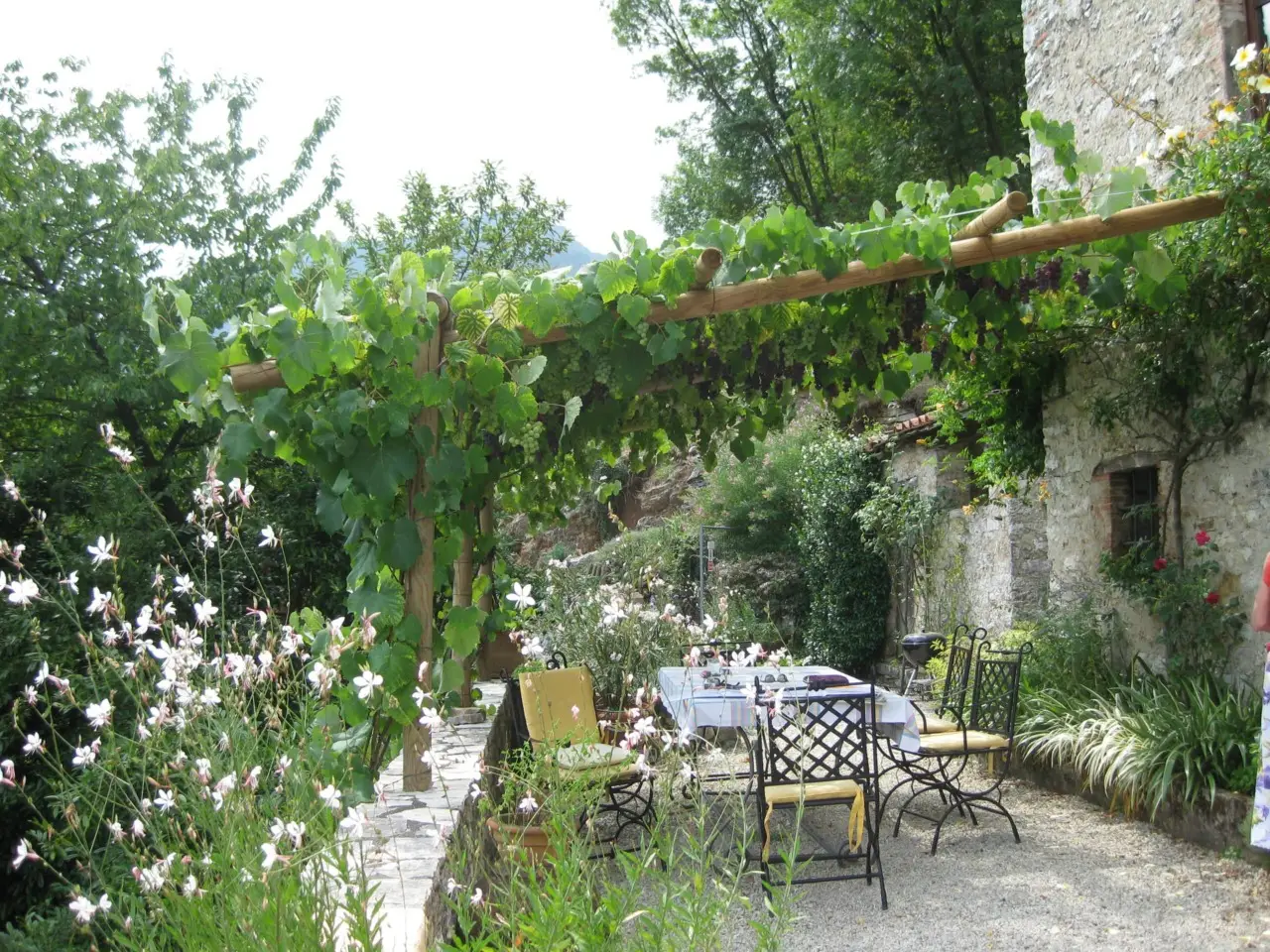 Come scegliere piante da ombra per terrazzi esposti al sole: la guida pratica dei botanici Come scegliere piante da ombra per terrazzi esposti al sole: la guida pratica dei botanici