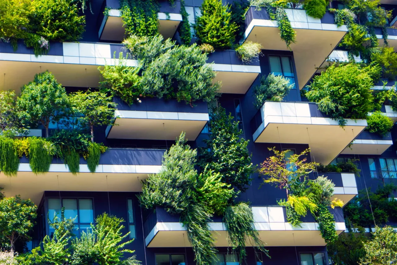 Come scegliere piante da ombra per terrazzi esposti al sole: la guida pratica dei botanici Come scegliere piante da ombra per terrazzi esposti al sole: la guida pratica dei botanici