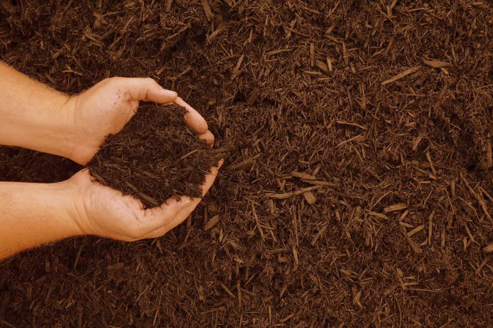 5 trucchi per ridurre subito l’evaporazione nei vasi a giugno: il metodo degli agronomi 5 trucchi per ridurre subito l’evaporazione nei vasi a giugno: il metodo degli agronomi