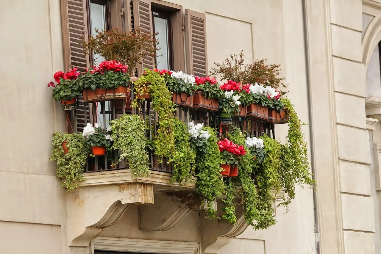 Come creare una barriera naturale contro il vento in terrazzo: la selezione di piante ideali per l’estate Come creare una barriera naturale contro il vento in terrazzo: la selezione di piante ideali per l’estate