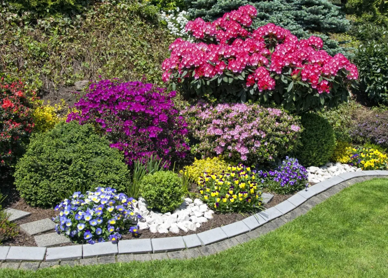 Il segreto per aiuole sempre colorate anche a giugno: scegli queste varietà perenni da bordura Il segreto per aiuole sempre colorate anche a giugno: scegli queste varietà perenni da bordura