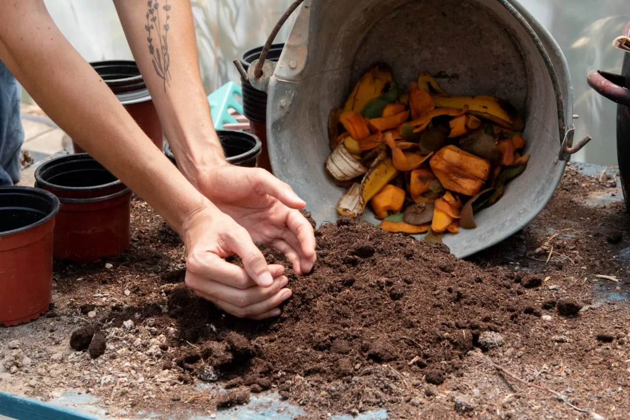 5 trucchi per proteggere le radici delle piante dal caldo estivo: la guida dell’Accademia Italiana di Agricoltura 5 trucchi per proteggere le radici delle piante dal caldo estivo: la guida dell’Accademia Italiana di Agricoltura