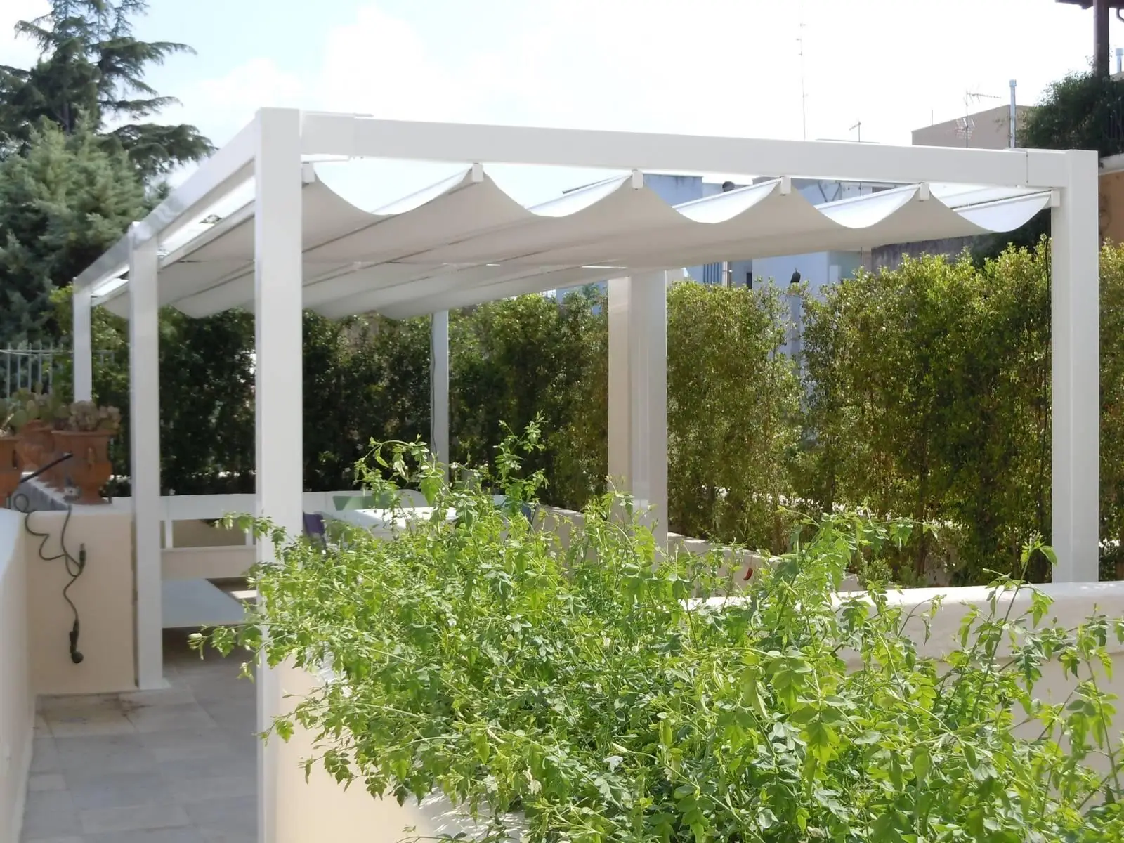 Come scegliere piante da ombra per terrazzi esposti al sole: la guida pratica dei botanici Come scegliere piante da ombra per terrazzi esposti al sole: la guida pratica dei botanici