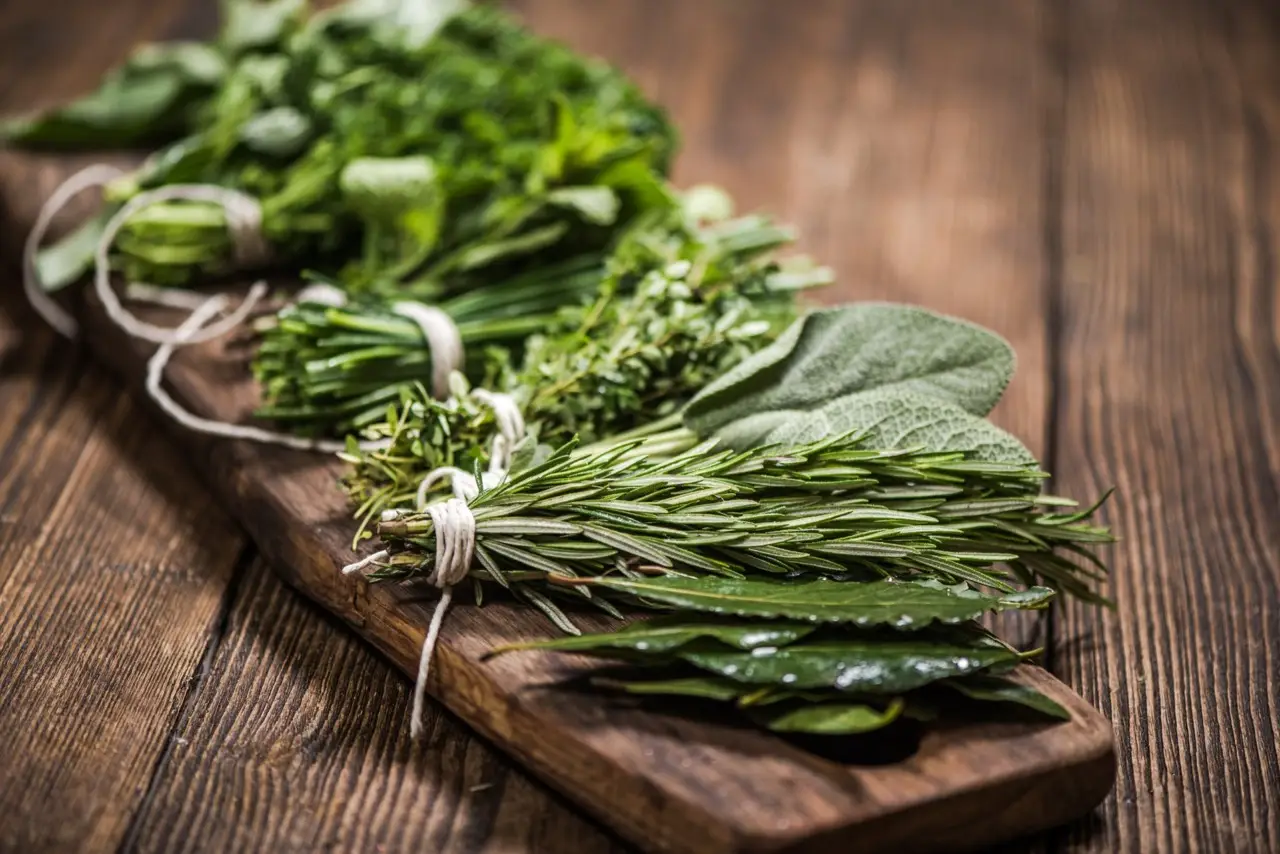 Come proteggere le piante aromatiche dal caldo di giugno: il consiglio pratico degli agronomi per balconi esposti Come proteggere le piante aromatiche dal caldo di giugno: il consiglio pratico degli agronomi per balconi esposti
