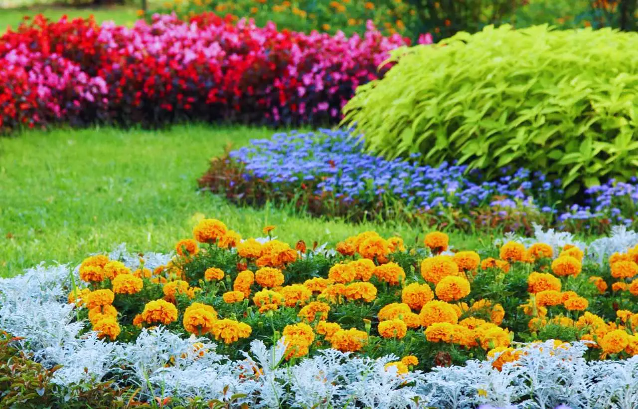 Verde consapevole: giardinaggio ecologico e sostenibile Verde consapevole: giardinaggio ecologico e sostenibile
