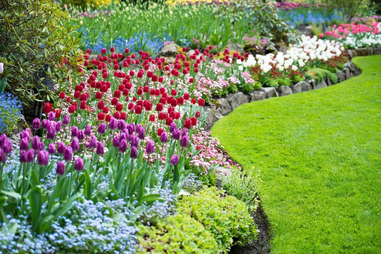 Vuoi bordure colorate tutto l’anno? Queste perenni da bordura sono la soluzione dei paesaggisti per giugno Vuoi bordure colorate tutto l’anno? Queste perenni da bordura sono la soluzione dei paesaggisti per giugno