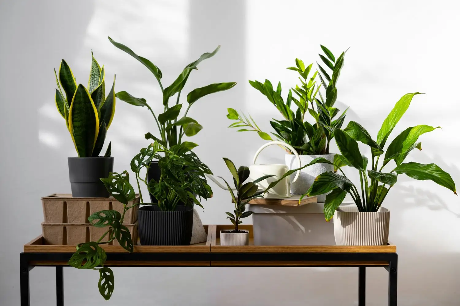 Vuoi una casa più fresca senza condizionatore? Ecco le piante d’appartamento che abbassano la temperatura secondo gli esperti Vuoi una casa più fresca senza condizionatore? Ecco le piante d’appartamento che abbassano la temperatura secondo gli esperti