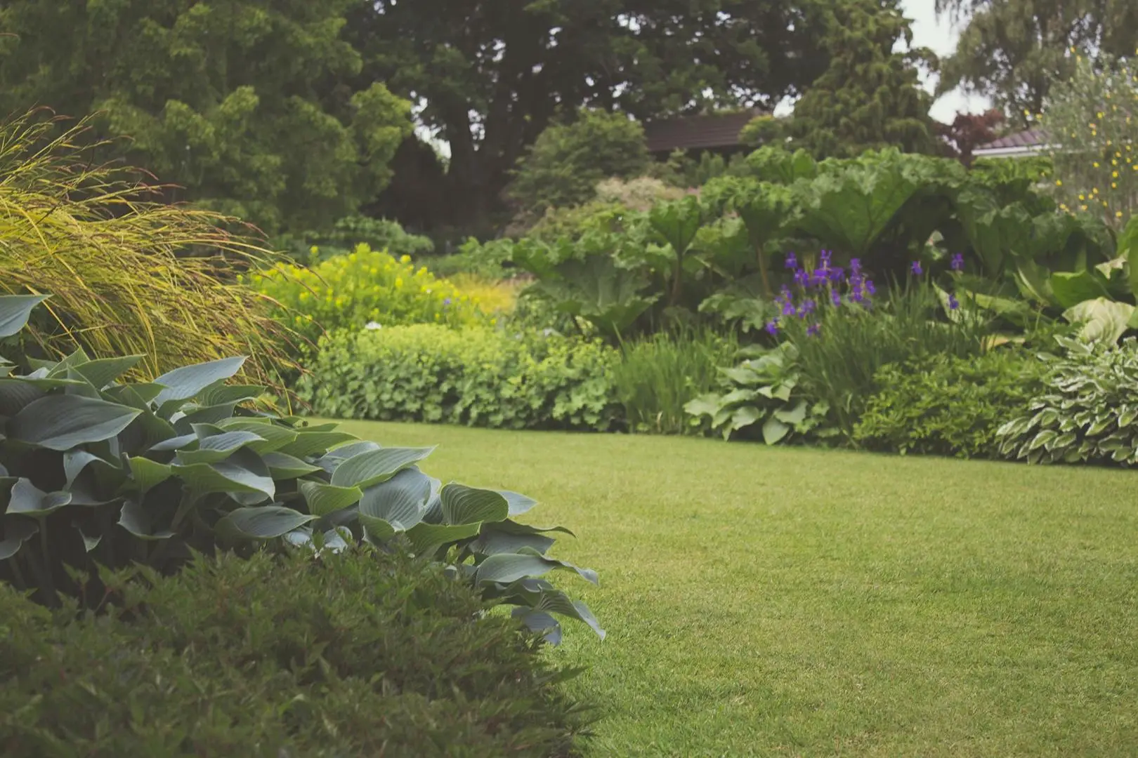 Vuoi un prato sempre verde anche con poca acqua? Prova la pacciamatura naturale suggerita dall’agronomo Vuoi un prato sempre verde anche con poca acqua? Prova la pacciamatura naturale suggerita dall’agronomo
