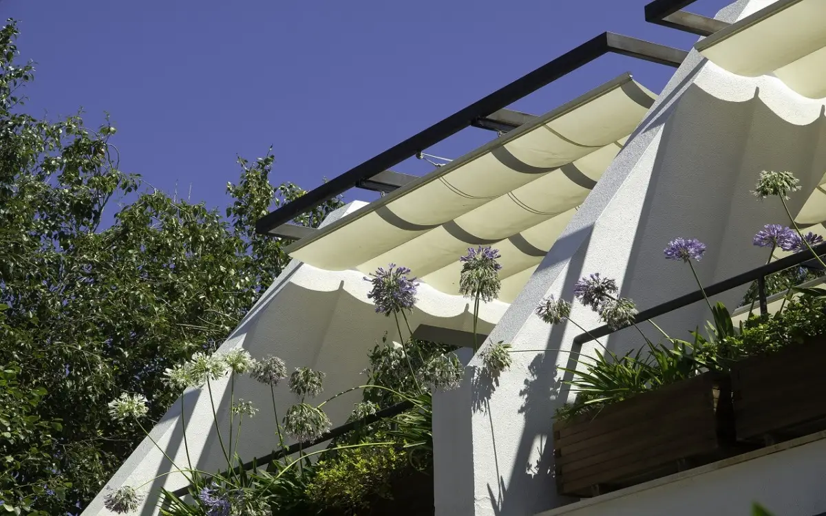 Come creare ombra naturale sul terrazzo: le varietà di rampicanti consigliate dai paesaggisti per l’estate 2025 Come creare ombra naturale sul terrazzo: le varietà di rampicanti consigliate dai paesaggisti per l’estate 2025
