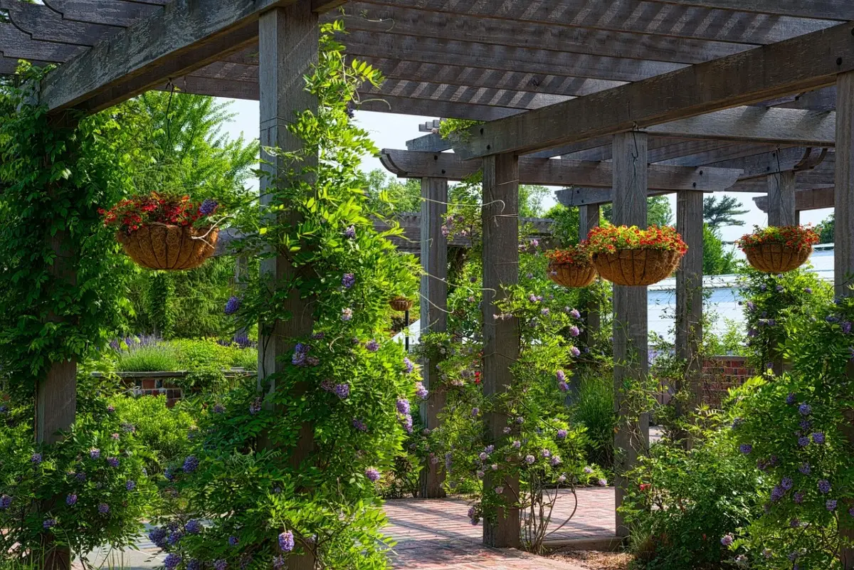 Come creare ombra naturale sul terrazzo: le varietà di rampicanti consigliate dai paesaggisti per l’estate 2025 Come creare ombra naturale sul terrazzo: le varietà di rampicanti consigliate dai paesaggisti per l’estate 2025