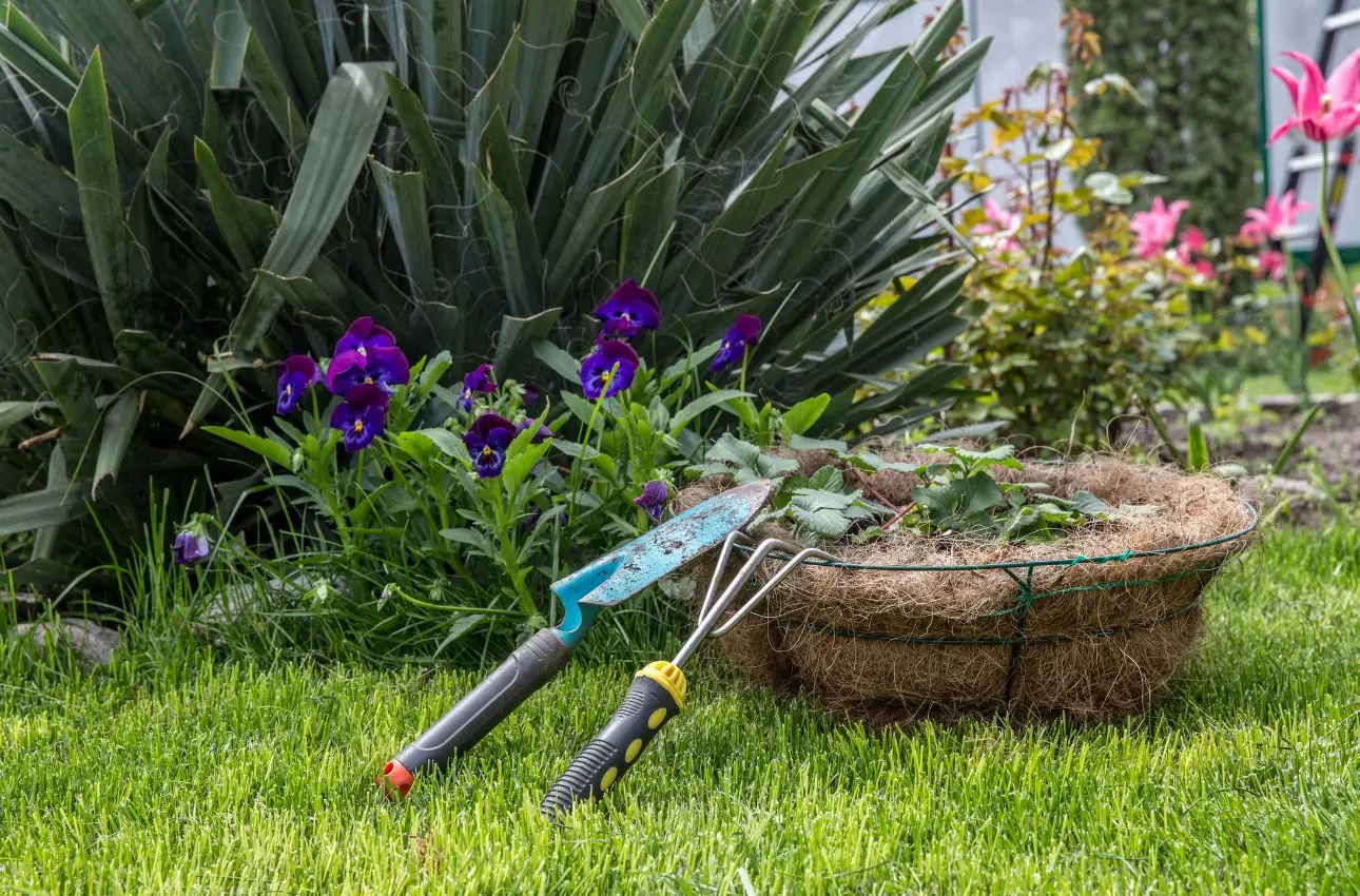 5 trucchi per ridurre subito l’evaporazione nei vasi a giugno: la strategia vincente degli agronomi 5 trucchi per ridurre subito l’evaporazione nei vasi a giugno: la strategia vincente degli agronomi
